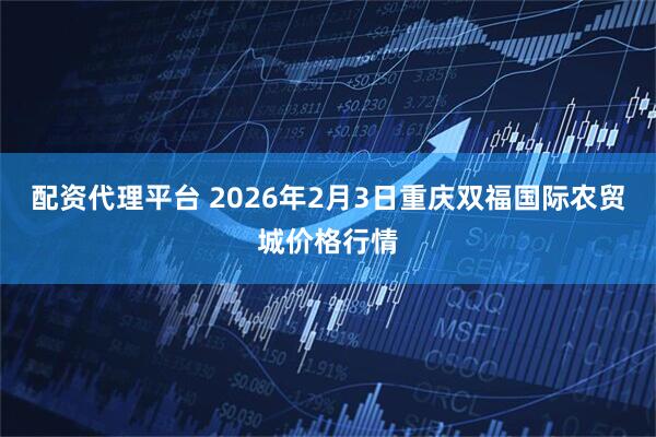 配资代理平台 2026年2月3日重庆双福国际农贸城价格行情