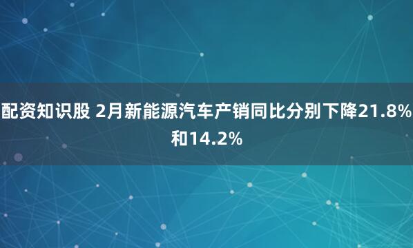 配资知识股 2月新能源汽车产销同比分别下降21.8%和14.2%