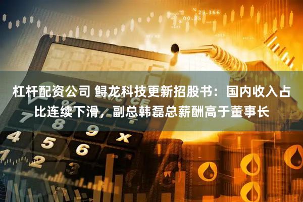 杠杆配资公司 鲟龙科技更新招股书：国内收入占比连续下滑，副总韩磊总薪酬高于董事长