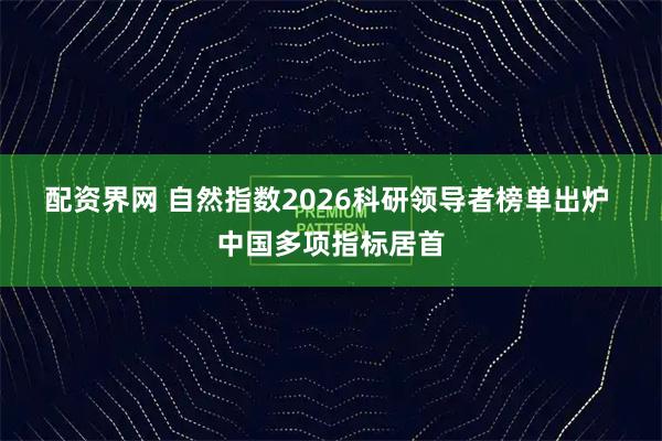 配资界网 自然指数2026科研领导者榜单出炉 中国多项指标居首