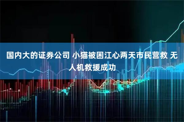 国内大的证券公司 小猫被困江心两天市民营救 无人机救援成功